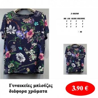 Γυναικείες μπλούζες σε διάφορα χρώματα