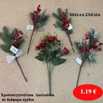 Χριστουγεννιάτικα λουλούδια διάφορα σχέδια