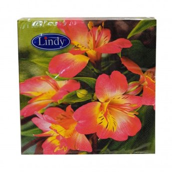 3800214410391 ΧΑΡΤΟΠΕΤΣΕΤΕΣ ΜΕ ΛΟΥΛΟΥΔΙΑ 20ΤΜΧ