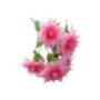 10800122 Μπουκέτο με 7 λουλούδια Υ50