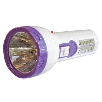 00600046 Πλαστικός επαναφορτιζόμενος φακός led 400mAh με 8 led στην λαβή
