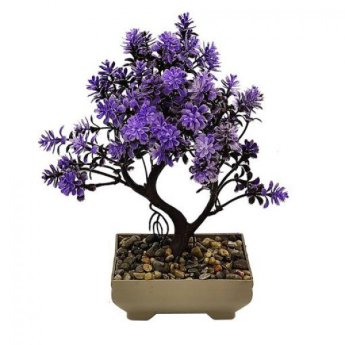 5203642140089 ΤΕΝΗΤΟ ΦΥΤΟ BONSAI ΔΙΑΦΟΡΑ ΧΡΩΜΑΤΑ 10Χ7Χ26CM