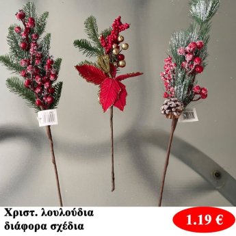 Χριστουγεννιάτικα λουλούδια σε διάφορα σχέδια