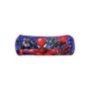 50-2473 ΚΑΣΕΤΙΝΑ ΒΑΡΕΛΑΚΙ SPIDERMAN 23x8cm