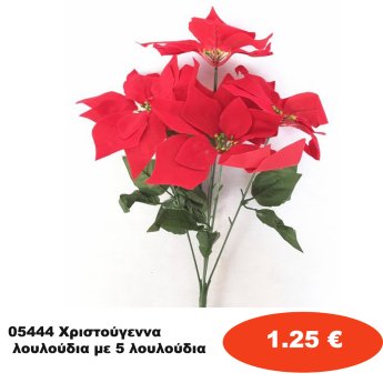 05444 Χριστούγεννα λουλούδια με 5 λουλούδια