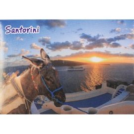 29401 ΜΑΓΝΗΤΑΚΙ ΓΑΙΔΑΡΟΣ ΣΕ ΗΛΙΟΒ. SANTORINI -5Χ8ΕΚ -