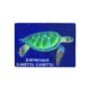 30261 ΜΑΓΝΗΤΑΚΙ ZAKYNTHOS CARETTA CARETTA -5X7EK -
