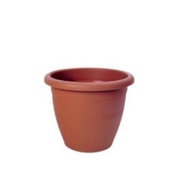 5202707988369 CYCLOPS ΓΛΑΣΤΡΑ ΤΕΡΑΚΟΤΑ Νο333 O33.00Χ26.00 - 11LT