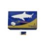 50-3163 Γόμα Λευκή σετ-40τεμ 3.3x1.5cm