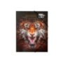 50-3042 Ντοσιέ Λάστιχο α4 no Fear India Tiger A4