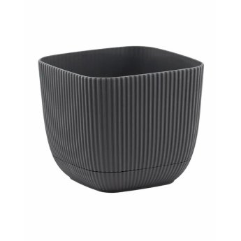 37901 ΓΡΑΣΤΡΑ