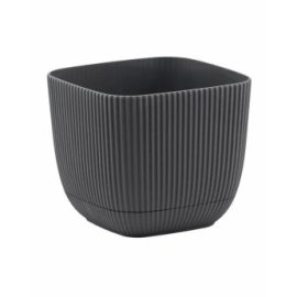 37901 ΓΡΑΣΤΡΑ