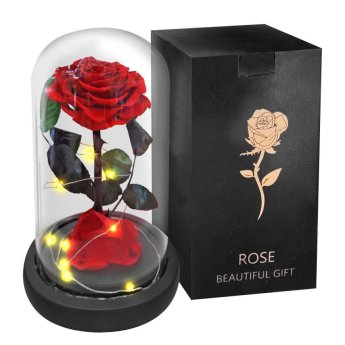 22-3010 Παντοτινό Τριαντάφυλλο σε Γυάλα 22x14cm