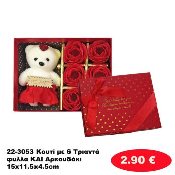 22-3053 Κουτί με 6 Τριαντάφυλλα ΚΑΙ Αρκουδάκι 15x11.5x4.5cm