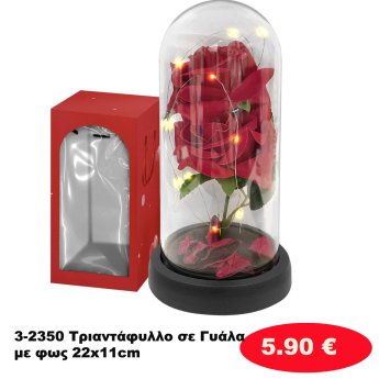 3-2350 Τριαντάφυλλο σε Γυάλα με φως 22x11cm