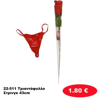22-511 Τριαντάφυλλο Στρινγκ 43cm
