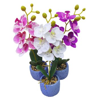 22-3102 Γλαστράκι Ορχιδέες με Χώμα ΚΑΙ Βότσαλα 34cm