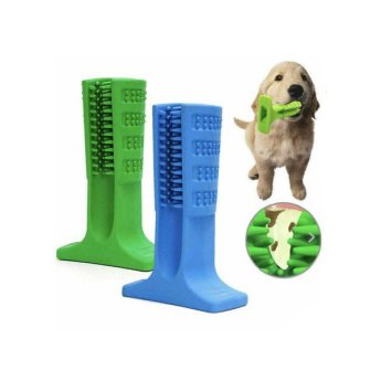 1439-07 ΠΑΙΧΝΙΔΙ ΣΚΥΛΟΥ ΟΔΟΝΤΟΒΟΥΡΤΣΑ ΜΠΛΕ-ΠΡΑΣΙΝΟ 17X12.5X5CM