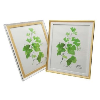 1255-59 ΚΟΡΝΙΖΑ 2 ΧΡΩΜΑΤΑ 8Χ10 20X25CM