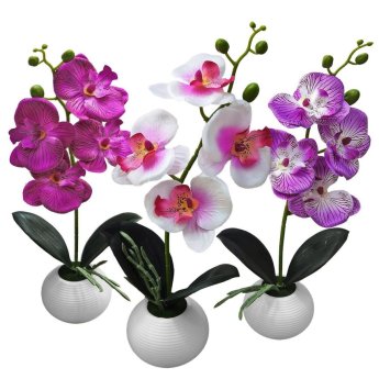 22-3017 Γλαστράκι Στρογγυλό με Τουλίπες 34x8cm