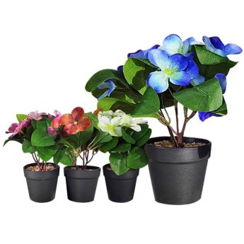 22-3016 Γλαστράκι Μαύρο Πλαστικό με Χώμα ΚΑΙ Λουλούδι Ανοιχτά Φύλλα 22x8cm