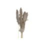 22-3110 Αποξηραμένα Pampas 7 Κλαδιά 70cm