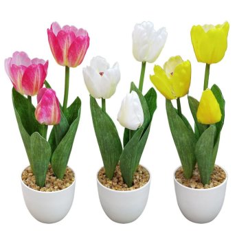 22-3103 Γλαστράκι 3 Τουλίπες 34cm