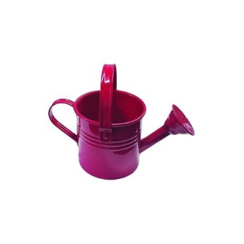 10701314 Ποτιστηράκι μεταλλικό 8 x 11cm