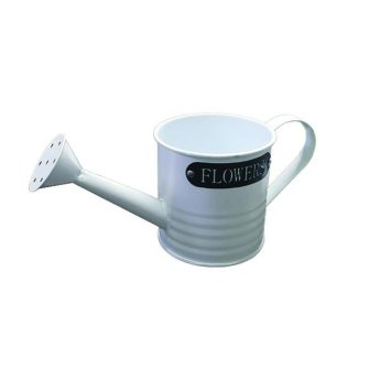 10701315 Ποτιστηράκι μεταλλικό 10.5 x 10cm