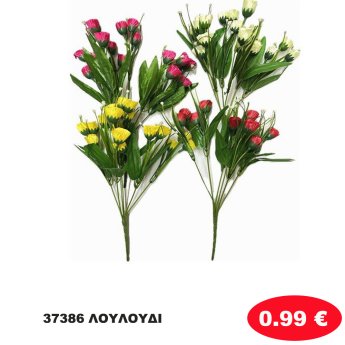 37386 ΛΟΥΛΟΥΔΙ