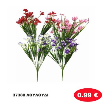 37388 ΛΟΥΛΟΥΔΙ