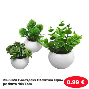 22-3024 Γλαστράκι Πλαστικό Οβάλ με Φυτό 10x7cm