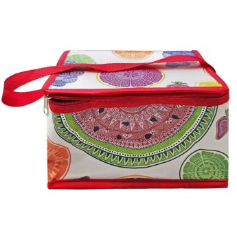 42-3157 Ψυγείο Ισοθερμικό με Σχέδια 22x16x14cm