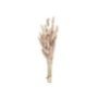 22-3109 Μπουκέτο Αποξηραμένα Bunny Tails 25 Κλαδιά ροζ 60cm